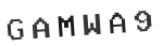 Verification Code Image