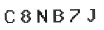 Verification Code Image